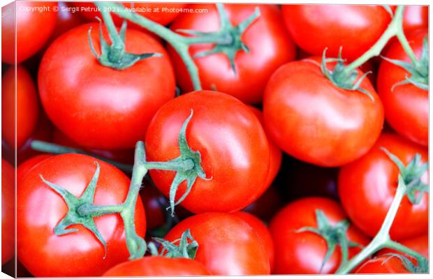 Branches of fresh red tomatoes with green stems close-up. Canvas Print by Sergii Petruk