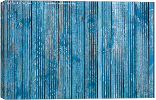 Old wooden boards and shabby paint, wood texture Canvas Print by Sergii Petruk