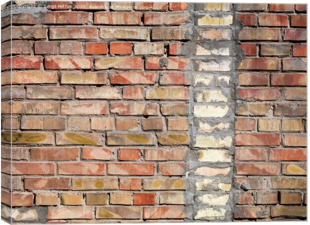On an old wall of red bricks a separated vertical fragment of the old silicate brick Canvas Print by Sergii Petruk