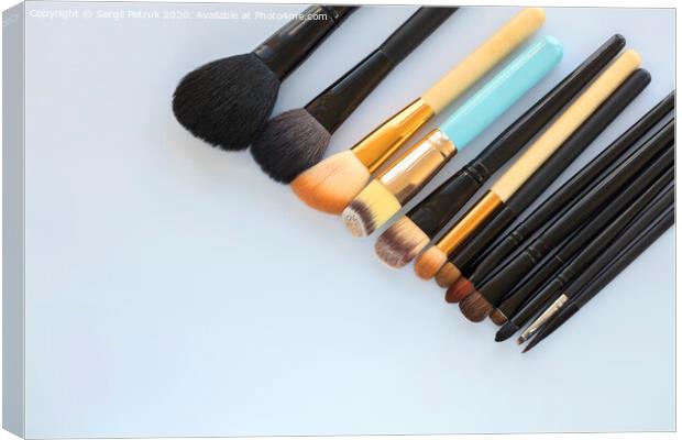 set of various professional cosmetic makeup brushes on a light background close-up Canvas Print by Sergii Petruk