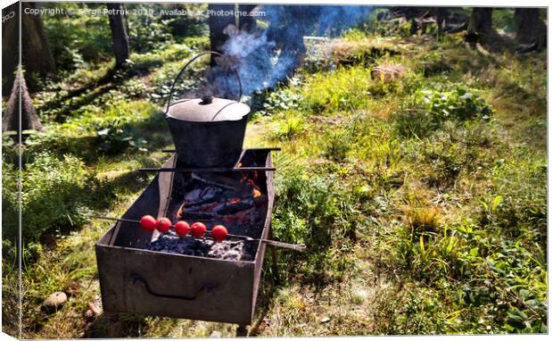 In the old cauldron on the barbecue cooking porridge against a forest clearing at noon Canvas Print by Sergii Petruk