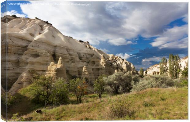 Mountain Honey and Red valleys in Cappadocia Canvas Print by Sergii Petruk