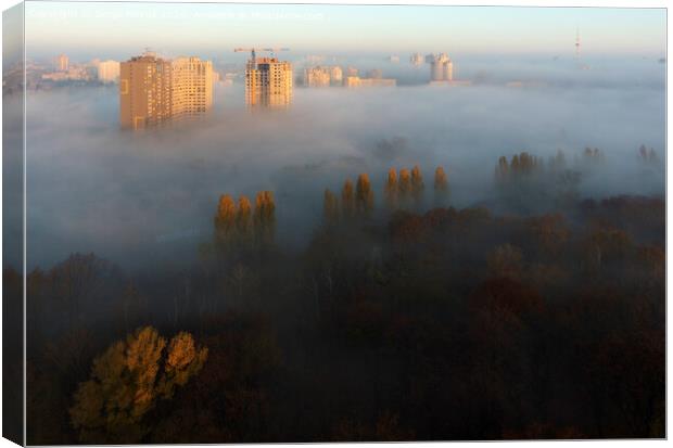 The sun's rays illuminate the morning city through the dense autumn fog Canvas Print by Sergii Petruk