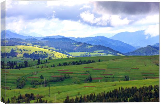 The beautiful and majestic mountain landscape of the Carpathian mountains. Canvas Print by Sergii Petruk
