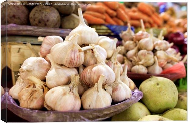 Dry heads of garlic the background of other ripe vegetables in the blur. Canvas Print by Sergii Petruk