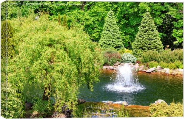 Decorative pond with a fountain in a beautiful summer park. Canvas Print by Sergii Petruk