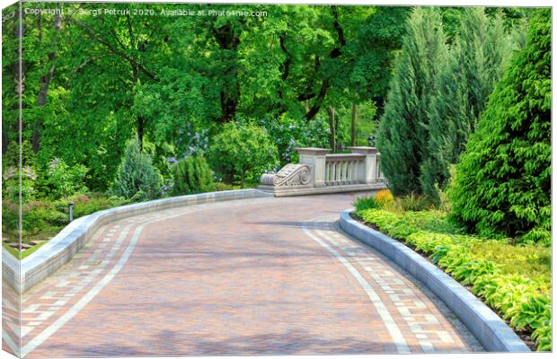 Walkway paved with tiles in a beautiful park, framed by different bushes and flowers, in soft rays of morning light. Canvas Print by Sergii Petruk