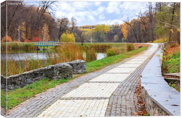 The paving slabs road with a framing of cobblestone leaves into the city autumn park Canvas Print by Sergii Petruk