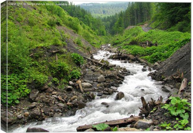 Mountain river runs from the peaks of the Carpathian Mountains among the boulders and old logs between the hills. Canvas Print by Sergii Petruk