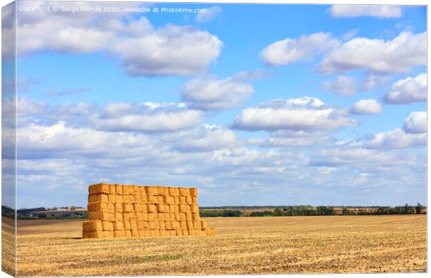 A large stack of straw against the background of a wide field and blue cloudy sky after harvest. Canvas Print by Sergii Petruk