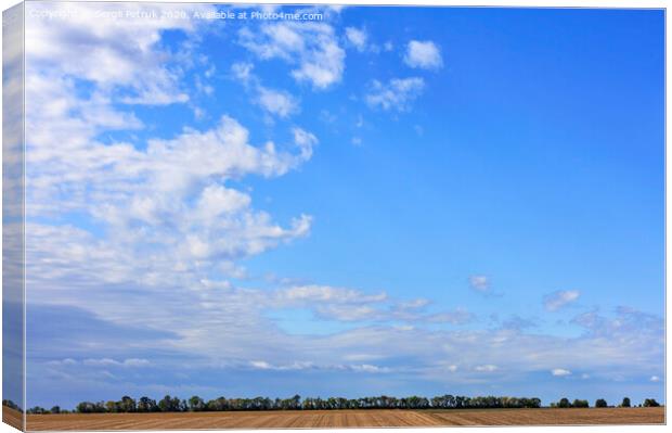 Large white clouds float in the blue sky above the horizon of the field and forest belt. Canvas Print by Sergii Petruk