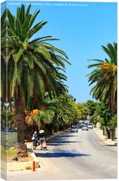 Along the road, an alley of date palm trees grows, cars go along the road, females walk, violating traffic rules, a vertical image. Canvas Print by Sergii Petruk
