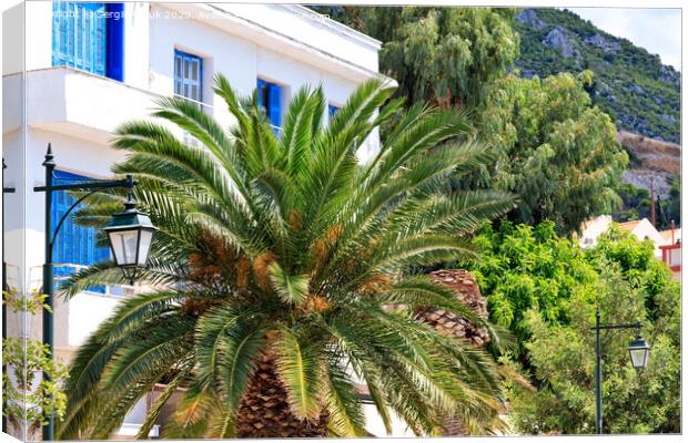 Beautiful landscape of a city street with growing date palm trees near a traditional white Greek house with blue wooden windows and doors. Canvas Print by Sergii Petruk