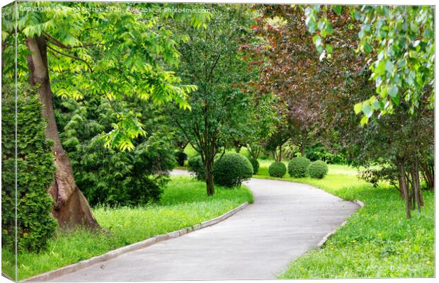 A winding asphalt road for pedestrians through a park with many beautiful decorative bushes and trees. Canvas Print by Sergii Petruk