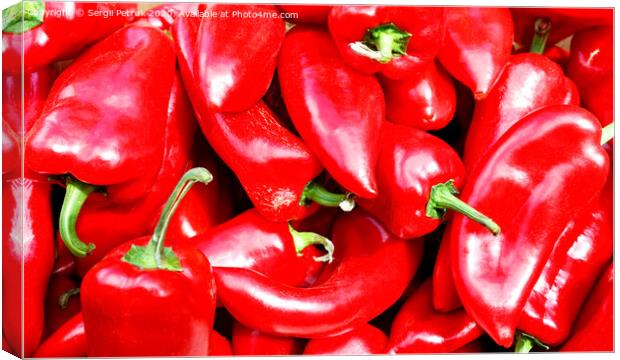 Pile of sweet red peppers, selective focus. Canvas Print by Sergii Petruk