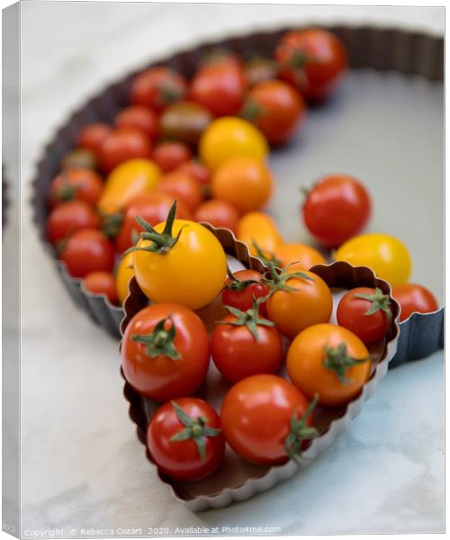 Cherry Tomatoes 2 Canvas Print by Rebecca Cozart