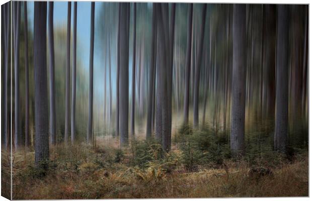 Strathyre Trees Canvas Print by overhoist 