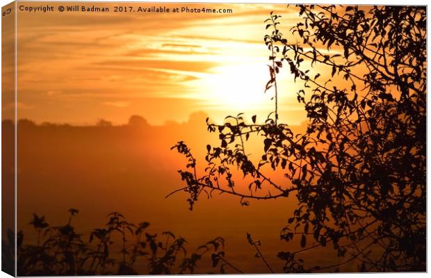 Sunrise looking through a hedge across a field in  Canvas Print by Will Badman