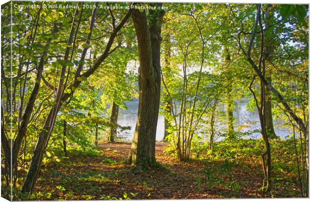 Autumn woodland at Chard Reservoir Somerset uk Canvas Print by Will Badman