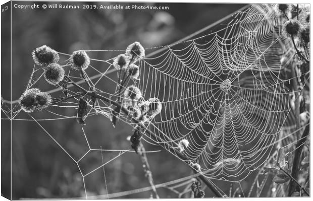 Web on a Misty Morning Canvas Print by Will Badman