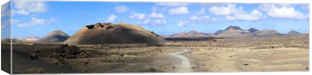 Montaña Cuervo, Timanfaya National Park, Lanzarote Canvas Print by Kevin McNeil