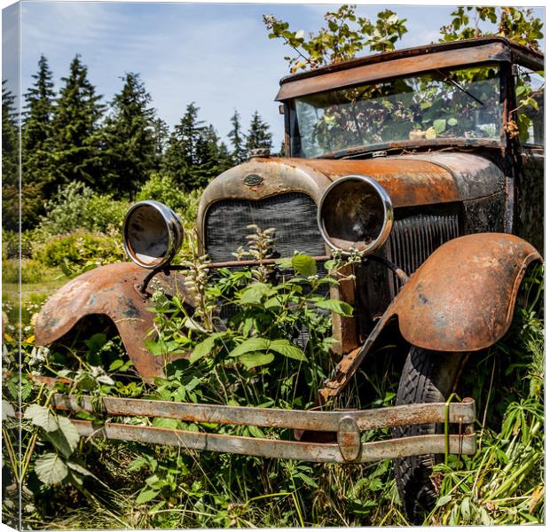 Rusty old Ford car Canvas Print by David Belcher
