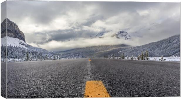 Icefields Parkway Canvas Print by David Belcher