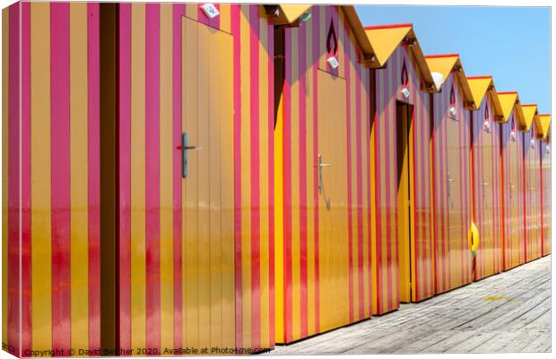 Beach huts Canvas Print by David Belcher