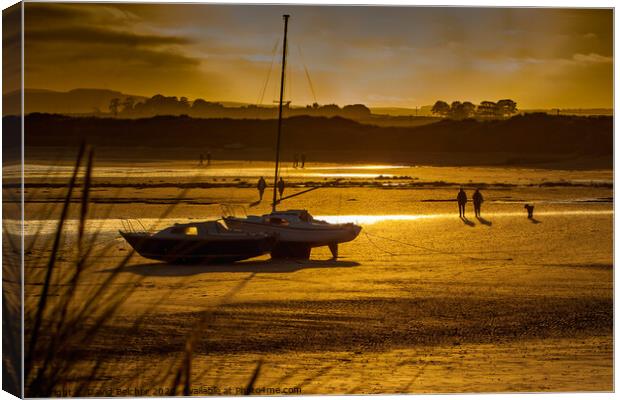 Sunset over Beadnell Bay Canvas Print by David Belcher