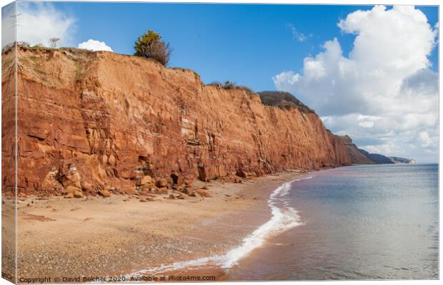 Sidmouth beach Canvas Print by David Belcher