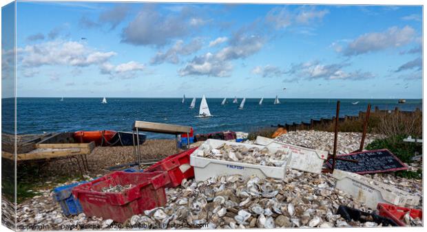 Whitstable oyster shells Canvas Print by David Belcher