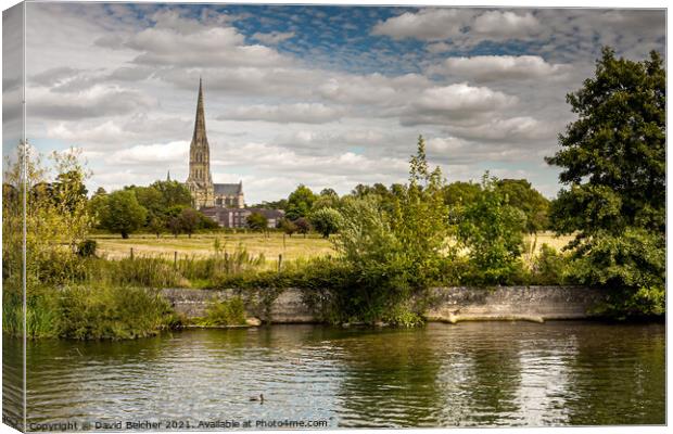 Salsbury cathederal Canvas Print by David Belcher