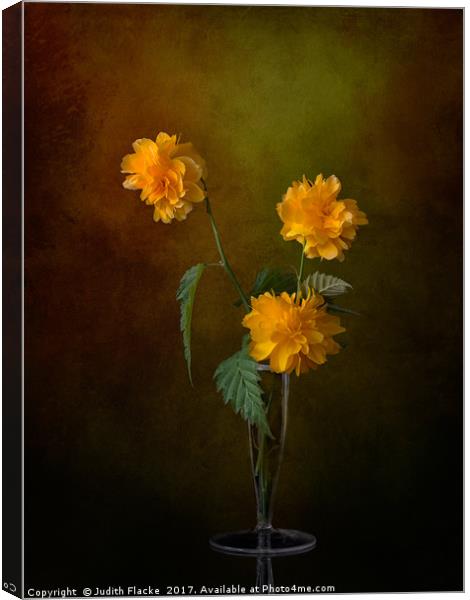 Kerria japonica still life in vase Canvas Print by Judith Flacke