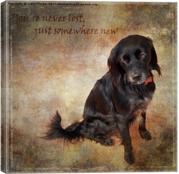 You're never lost, just somewhere new Canvas Print by Judith Flacke