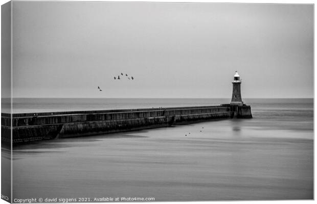 tynemouth pier  Canvas Print by david siggens