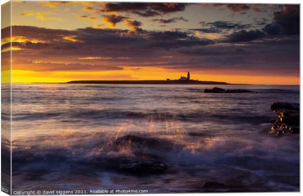 Amble links Northumberland splash Canvas Print by david siggens