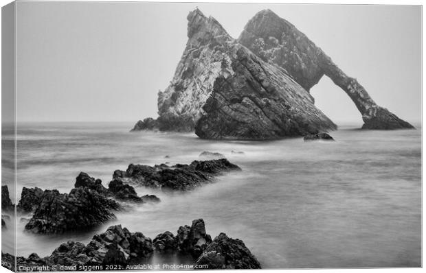 Bow Fiddle Rock scotland Canvas Print by david siggens