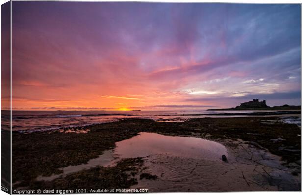 Bamburgh castle sunrise northumberland Canvas Print by david siggens