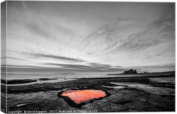Bamburgh Northumberland Heart shaped rock pool Canvas Print by david siggens