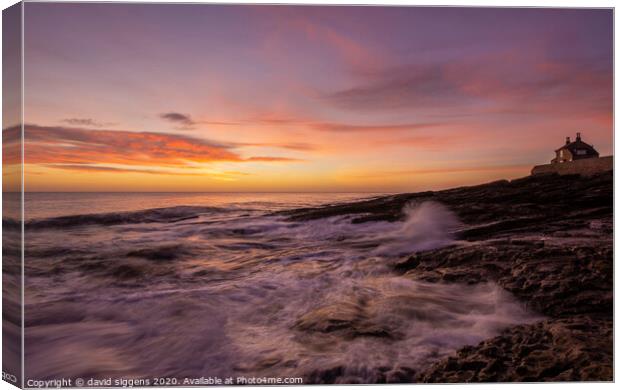 Howick Bathing house Canvas Print by david siggens