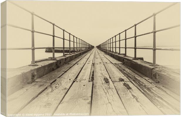 Blyth Pier Canvas Print by david siggens