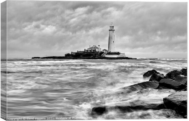 Black and white st marys lighthouse  Canvas Print by david siggens