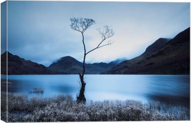 Buttermere Tree at Dawn Canvas Print by Ken Mills