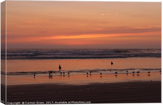 Sunset and waders at Pismo Beach California Canvas Print by Carmen Green