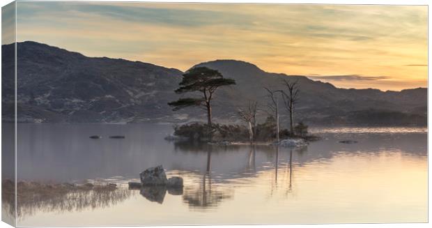 Island trees in Lock Assynt Canvas Print by Peter Scott