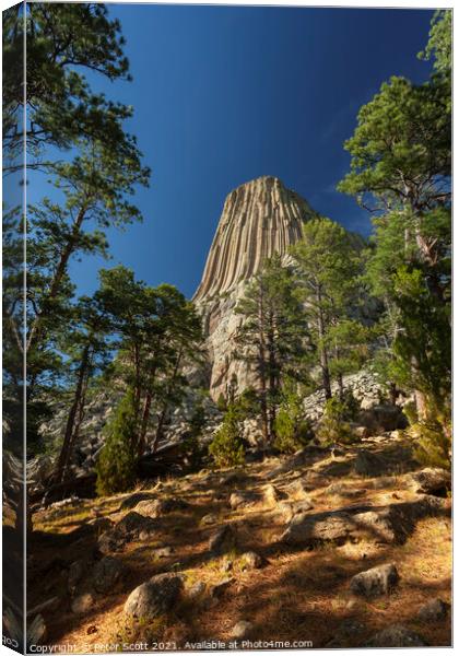Devils Tower Canvas Print by Peter Scott