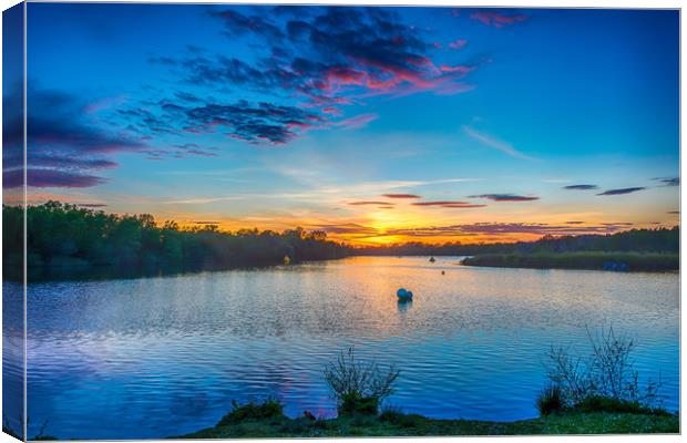 Horseshoe Lake Blue 1 Canvas Print by Colin Stock