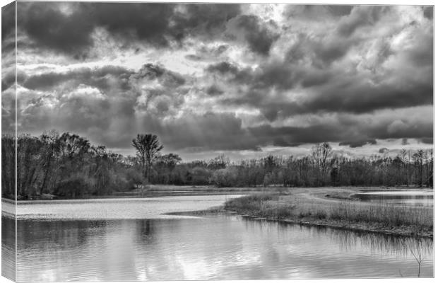 Suns Rays in Mono Canvas Print by Colin Stock