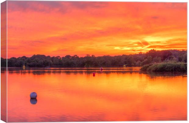 A Fire In The Sky Canvas Print by Colin Stock