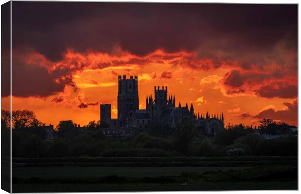 Illuminated Glory of Ely Cathedral Canvas Print by Andrew Sharpe